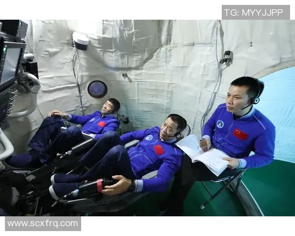 专访赵军：探寻网球世界的成功秘诀与背后故事