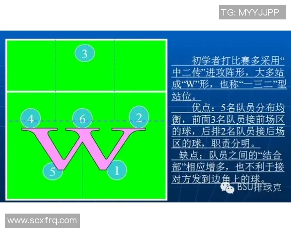 杭州排球队进攻策略解析:深度剖析排球战术与团队协作的完美结合 杭州排球队进攻策略解析:深度剖析排球战术与团队协作的完美结合