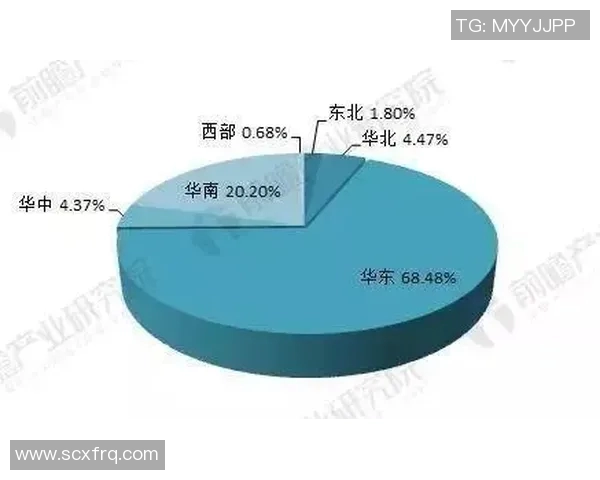 南京羽毛球队个人能力分析与发展潜力探讨