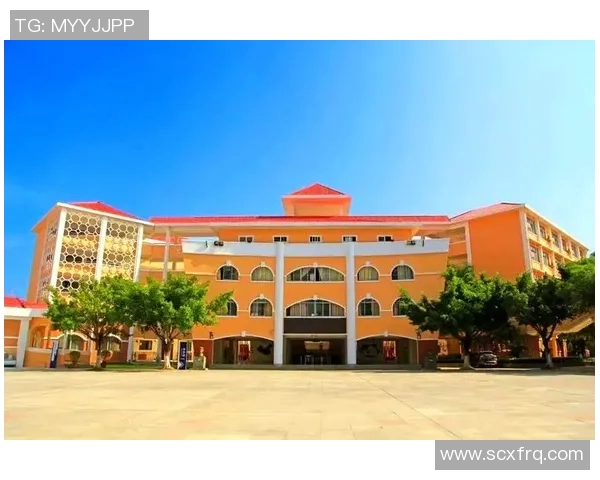 吴丽独家分享篮球心得与技巧助你提升球技的全面指南 吴丽独家分享篮球心得与技巧助你提升球技的全面指南