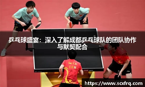 乒乓球盛宴：深入了解成都乒乓球队的团队协作与默契配合