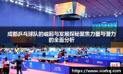 成都乒乓球队的崛起与发展探秘聚焦力量与潜力的全面分析