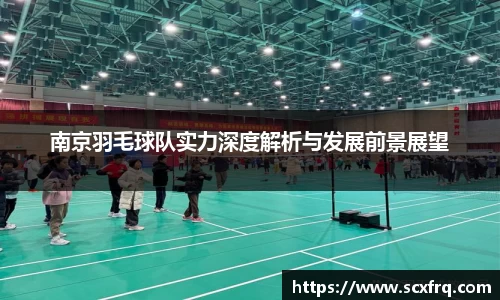 南京羽毛球队实力深度解析与发展前景展望