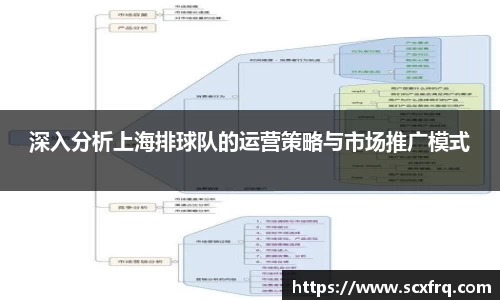 深入分析上海排球队的运营策略与市场推广模式